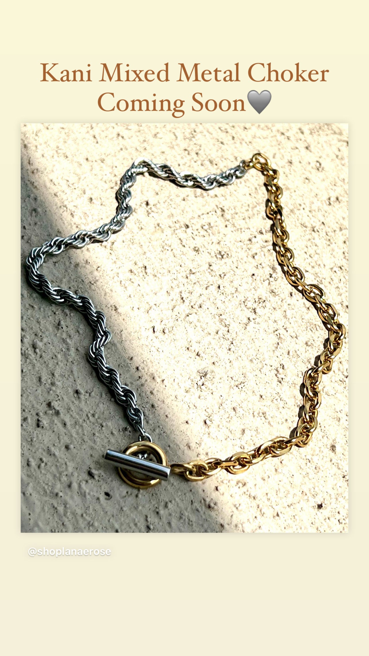 Kani Mixed Metal Chain